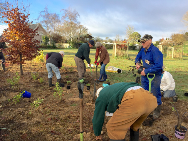 Extending the top planting 4. Cambridge Tree Trust